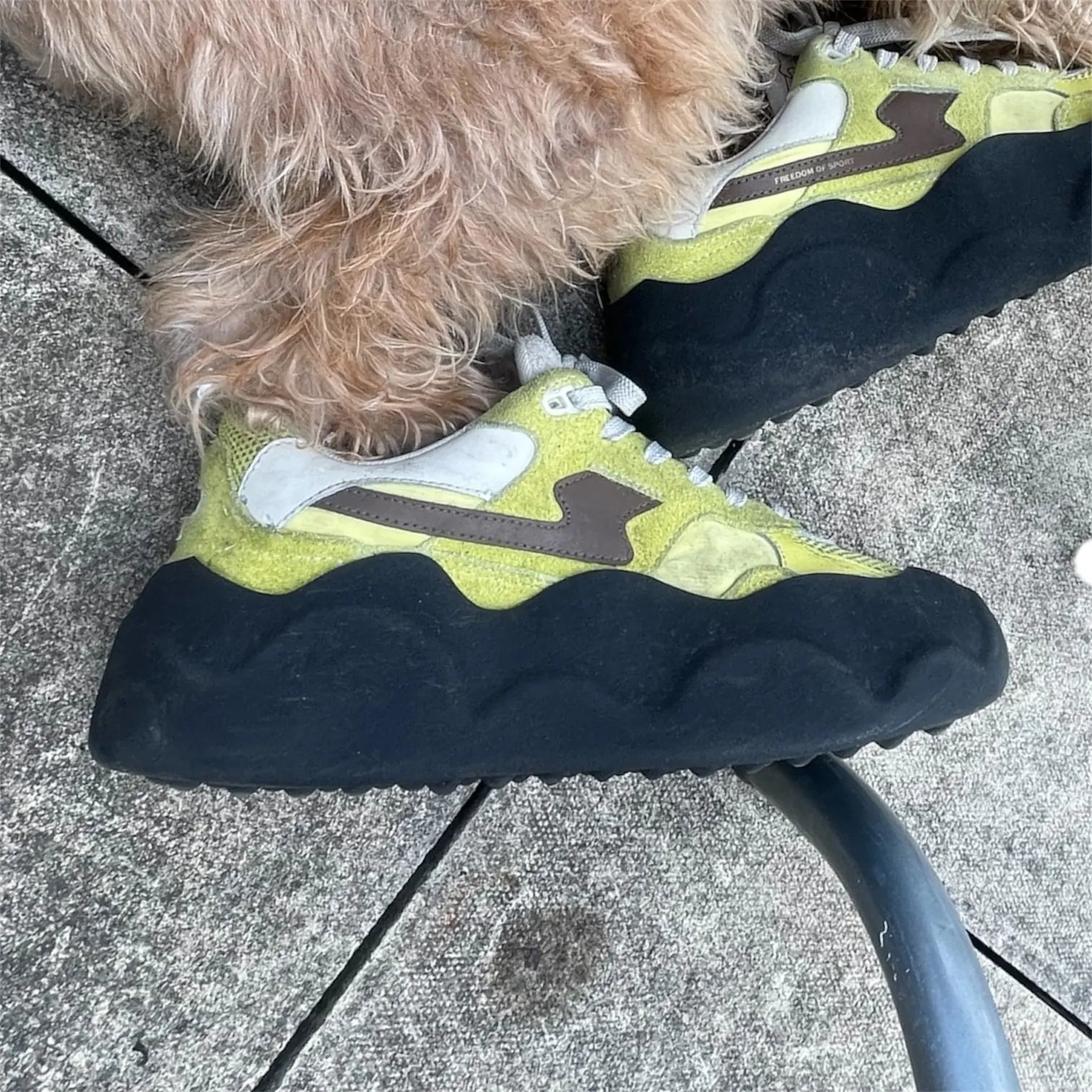 Glide Soles 2.0 [PRE - ORDER] - Glide Soles